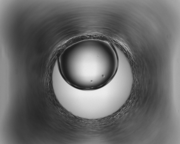 X0000095890920200801181222