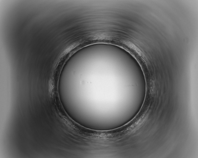 X0000095890922200801181222