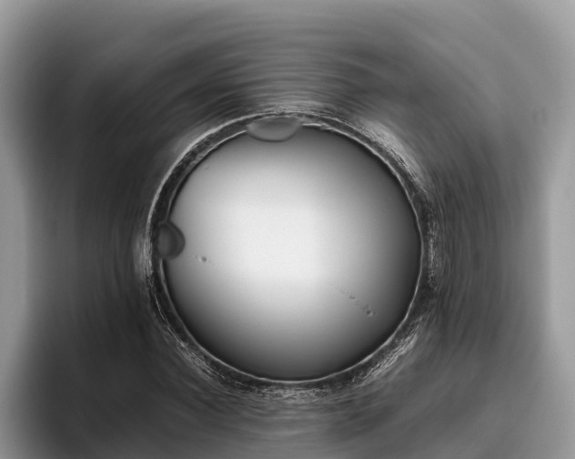 X0000095890924200801181222