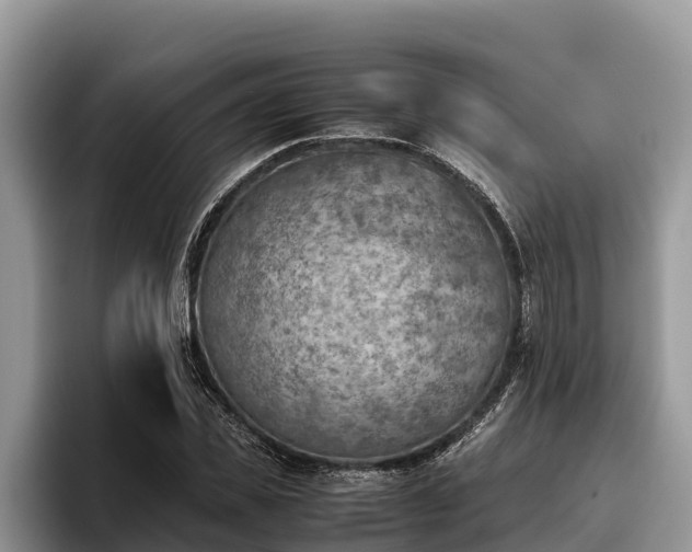 X0000095890925200801181222