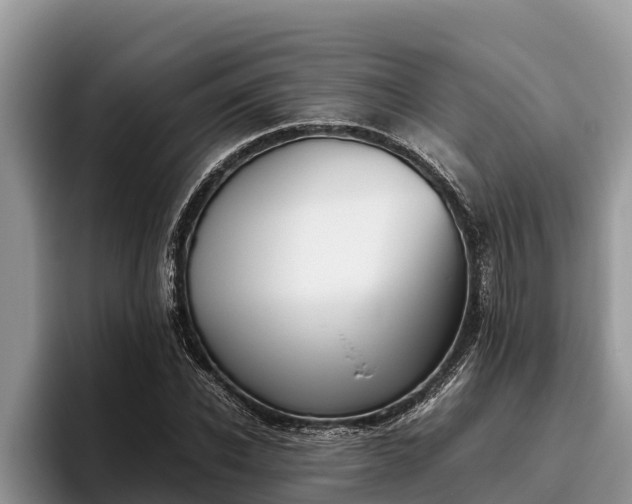 X0000095890926200801181222