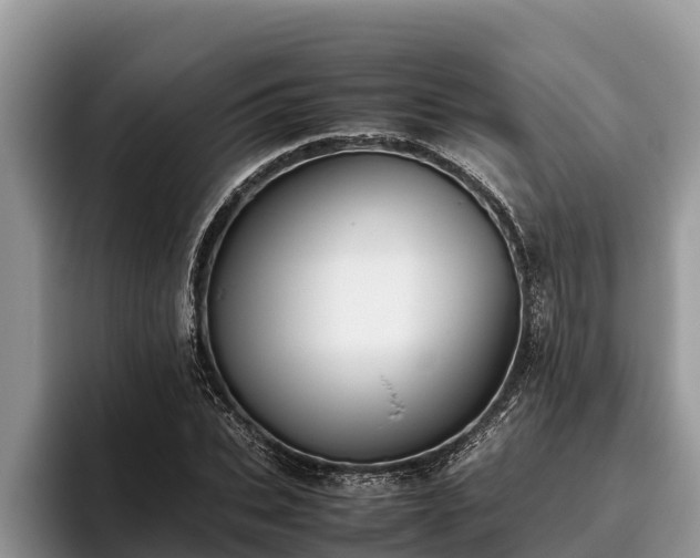 X0000095890927200801181223