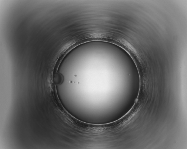 X0000095890930200801181223