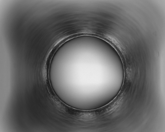 X0000095890931200801181223