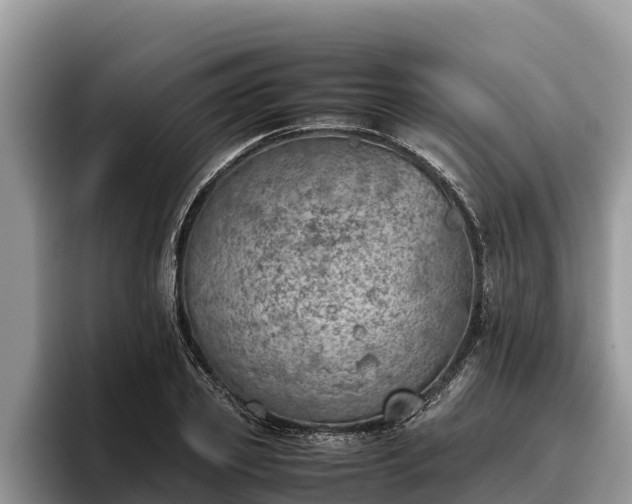 X0000095890933200801181223