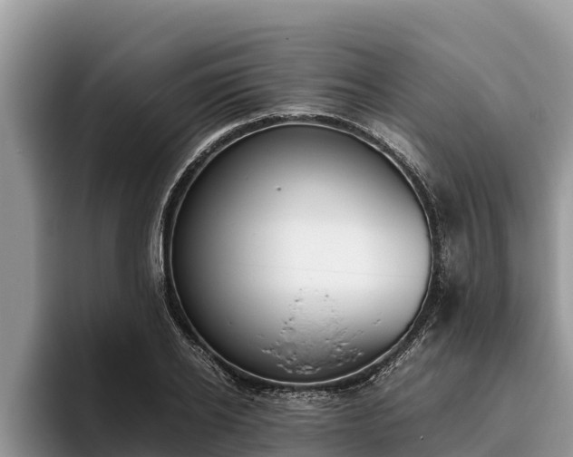 X0000095890934200801181223