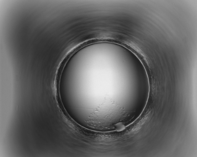 X0000095890935200801181223