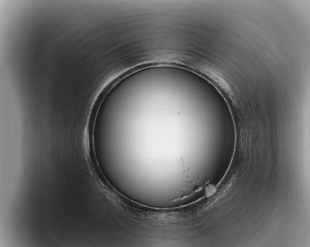 X0000095890936200801181223
