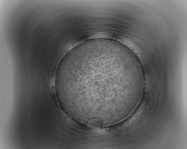 X0000095890937200801181223