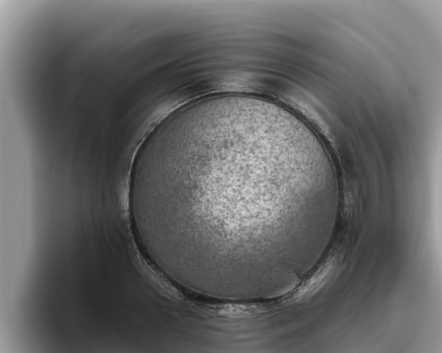 X0000095890938200801181223