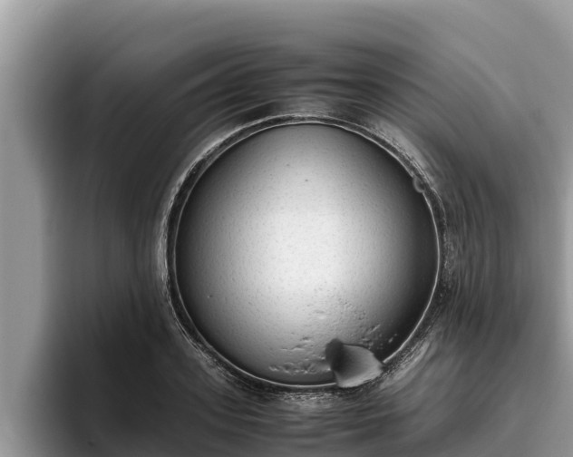 X0000095890939200801181223