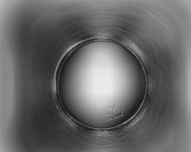 X0000095890940200801181223