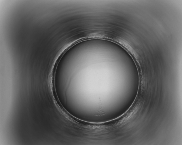 X0000095890941200801181223