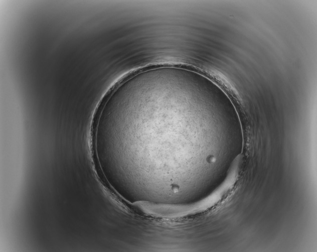 X0000095890942200801181223