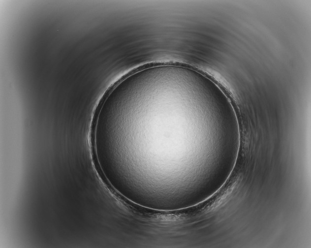 X0000095890943200801181223