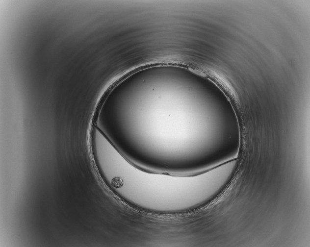 X0000095890944200801181223