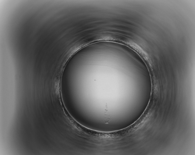X0000095890945200801181223