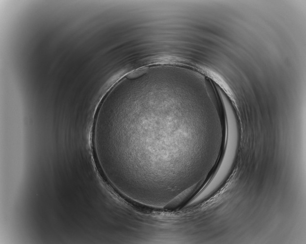 X0000095890946200801181223