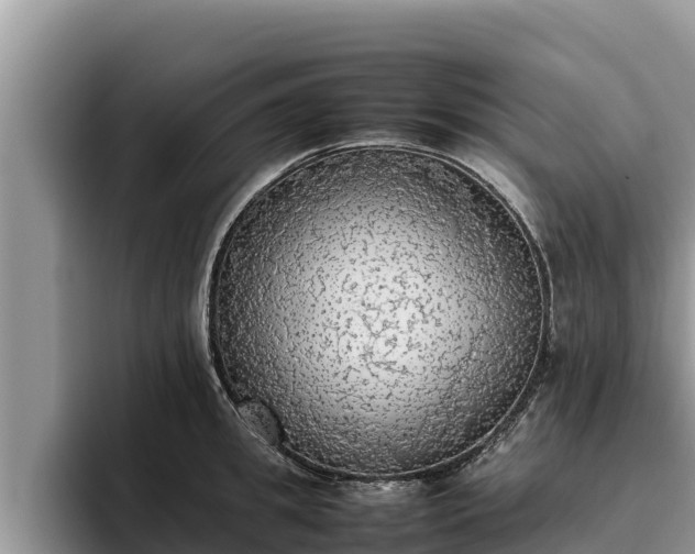 X0000095890949200801181223