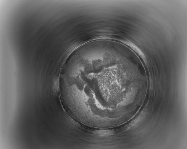 X0000095890953200801181223