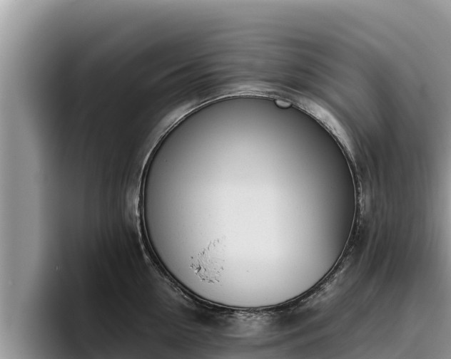 X0000095890954200801181223