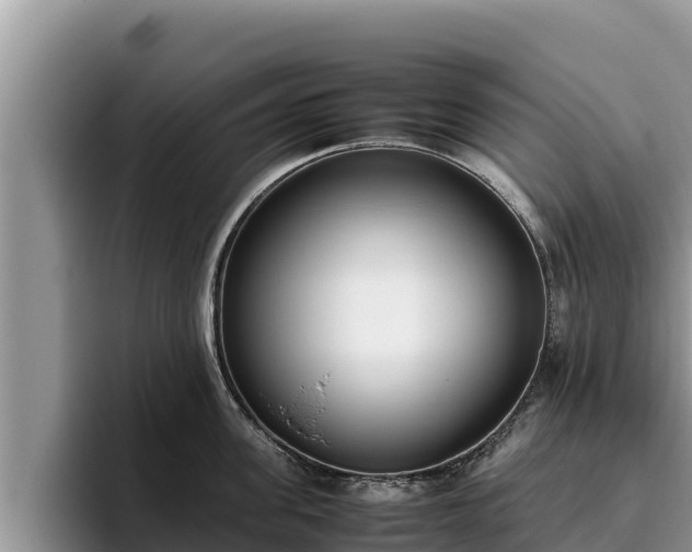 X0000095890955200801181223