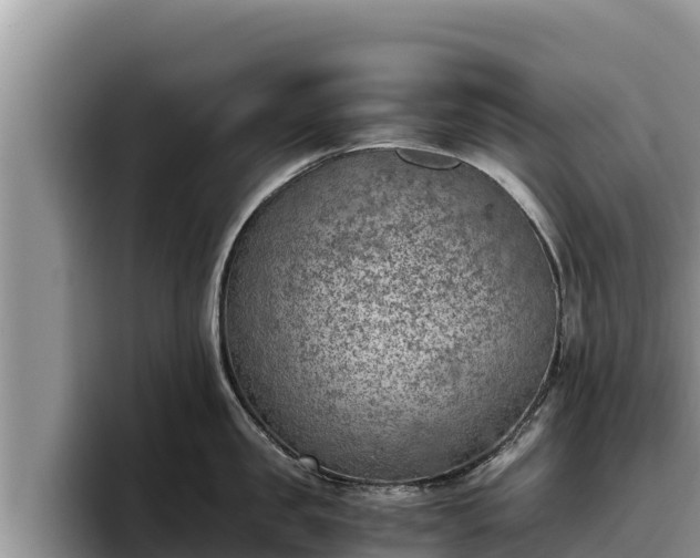 X0000095890957200801181223