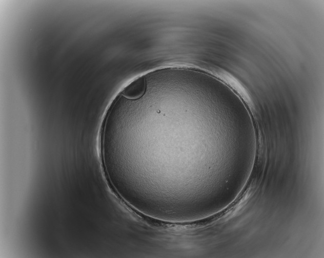 X0000095890958200801181223