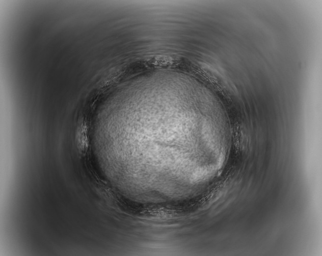 X0000095890962200801181222