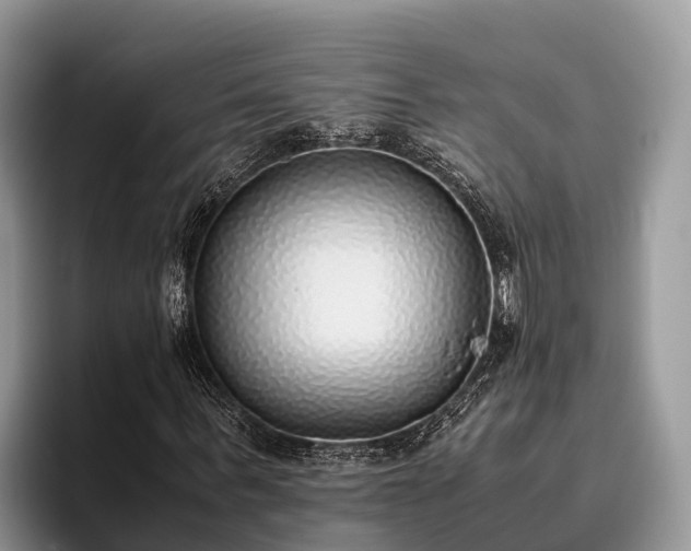 X0000095890963200801181222