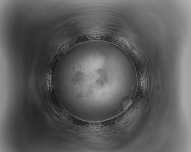 X0000095890964200801181222