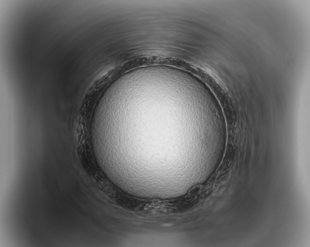 X0000095890967200801181222