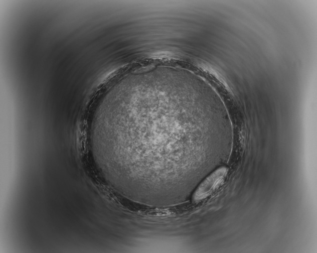 X0000095890968200801181222