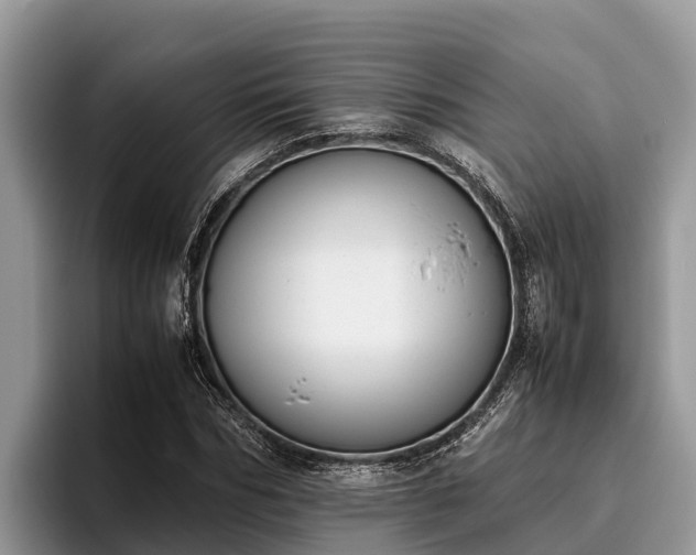 X0000095890970200801181222