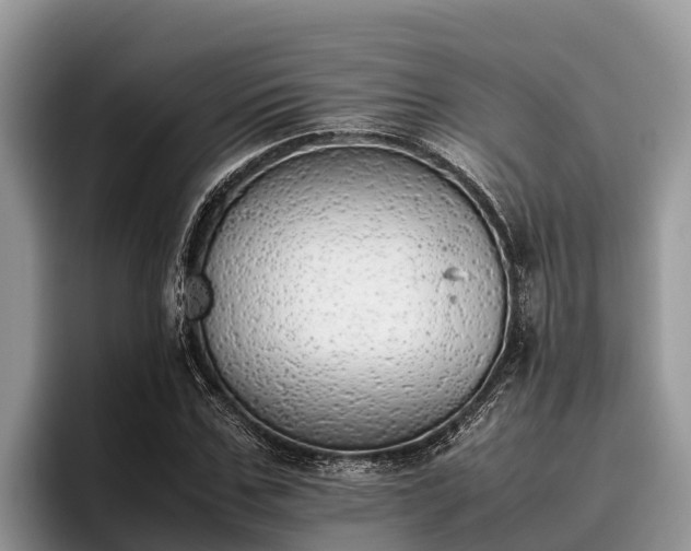 X0000095890971200801181222