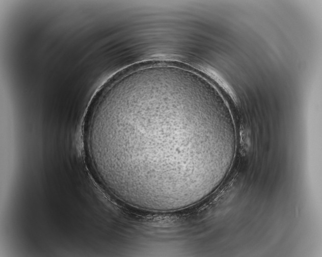 X0000095890972200801181222