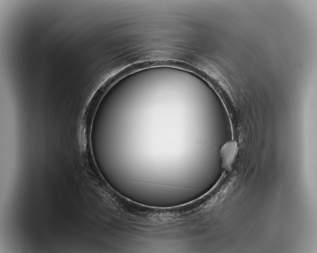 X0000095890973200801181222