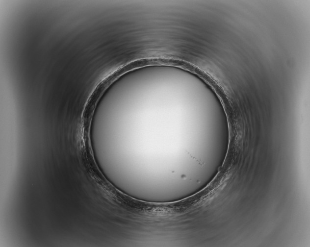 X0000095890974200801181222