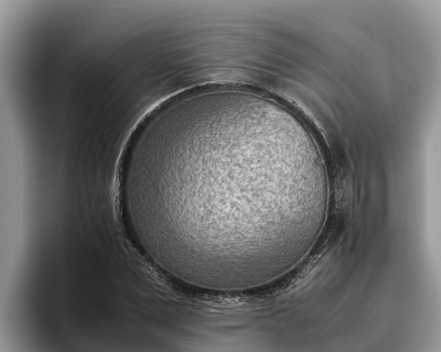 X0000095890975200801181222
