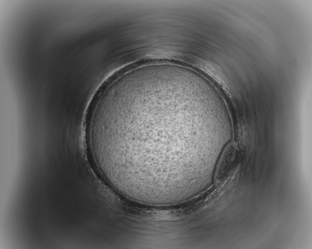X0000095890976200801181222