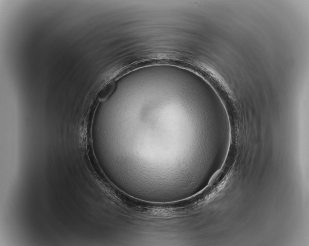 X0000095890977200801181222