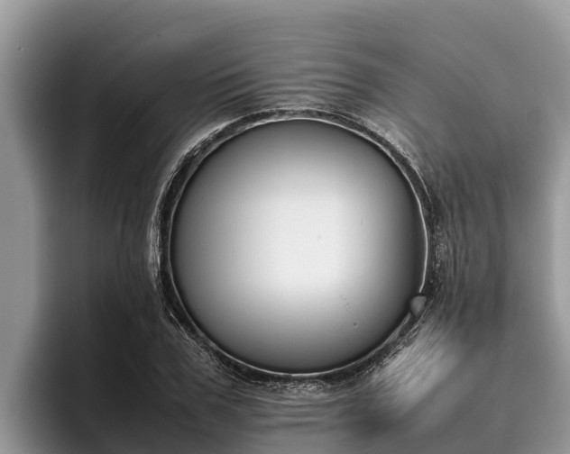 X0000095890979200801181222