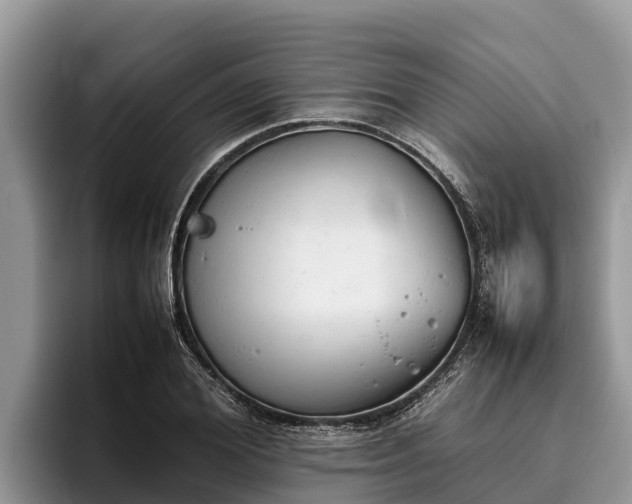 X0000095890980200801181222