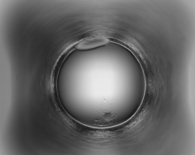 X0000095890981200801181222