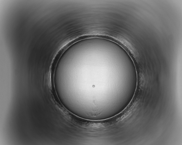 X0000095890982200801181222