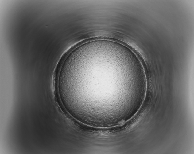 X0000095890983200801181222