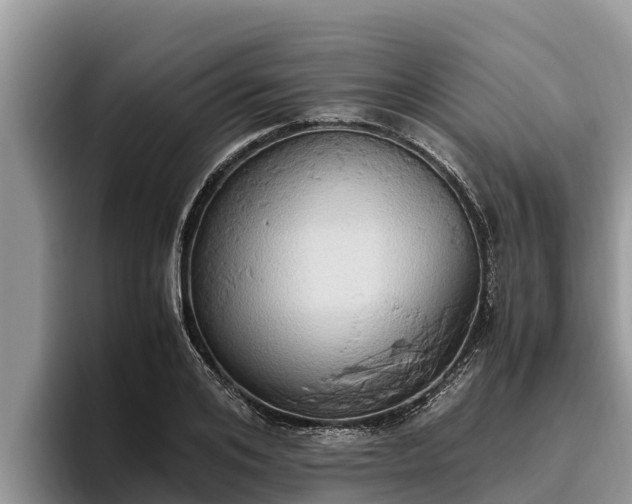 X0000095890984200801181222