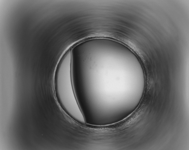 X0000095890988200801181222