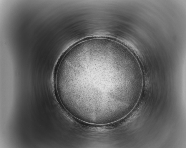 X0000095890990200801181222
