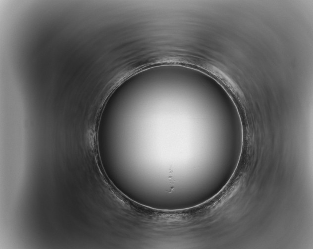 X0000095890993200801181222